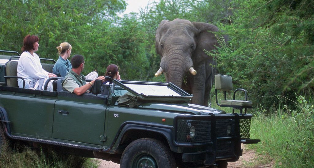 kanyezi africa safari reviews